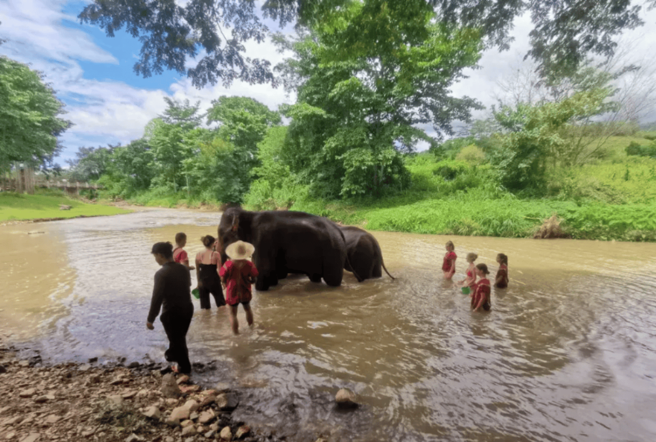 Mae Wang Kerchor Eco Elephant Park 之旅 | 清迈半日或一日体验 2