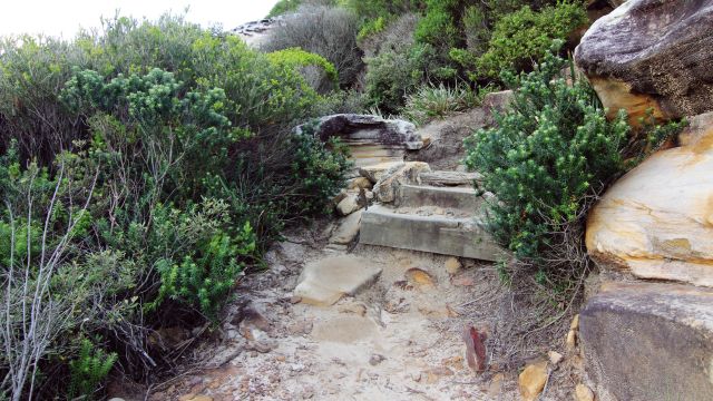 Royal National Park Day Tour in Sydney 4