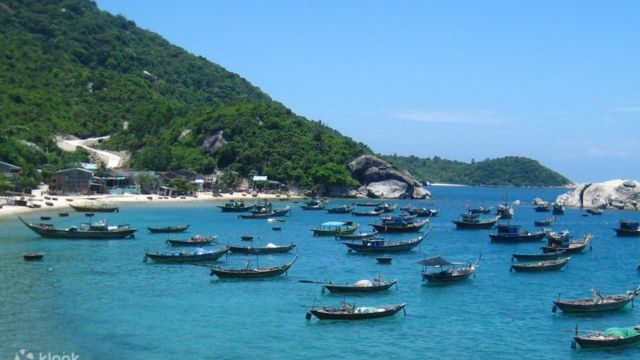 Cham Islands Day Tour from Hoi An