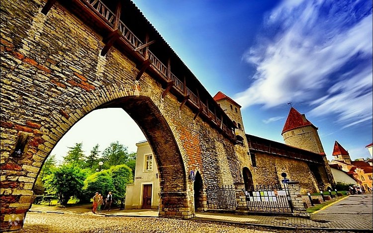 Tallinn Guided Day Tour from Helsinki with Ferry Crossing 4