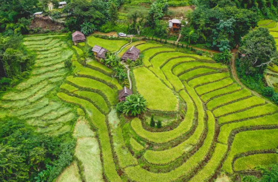 Doi Inthanon National Park Tour with Trekking at Pha Dok Seaw or Kew Mae Pan | Chiang Mai 2