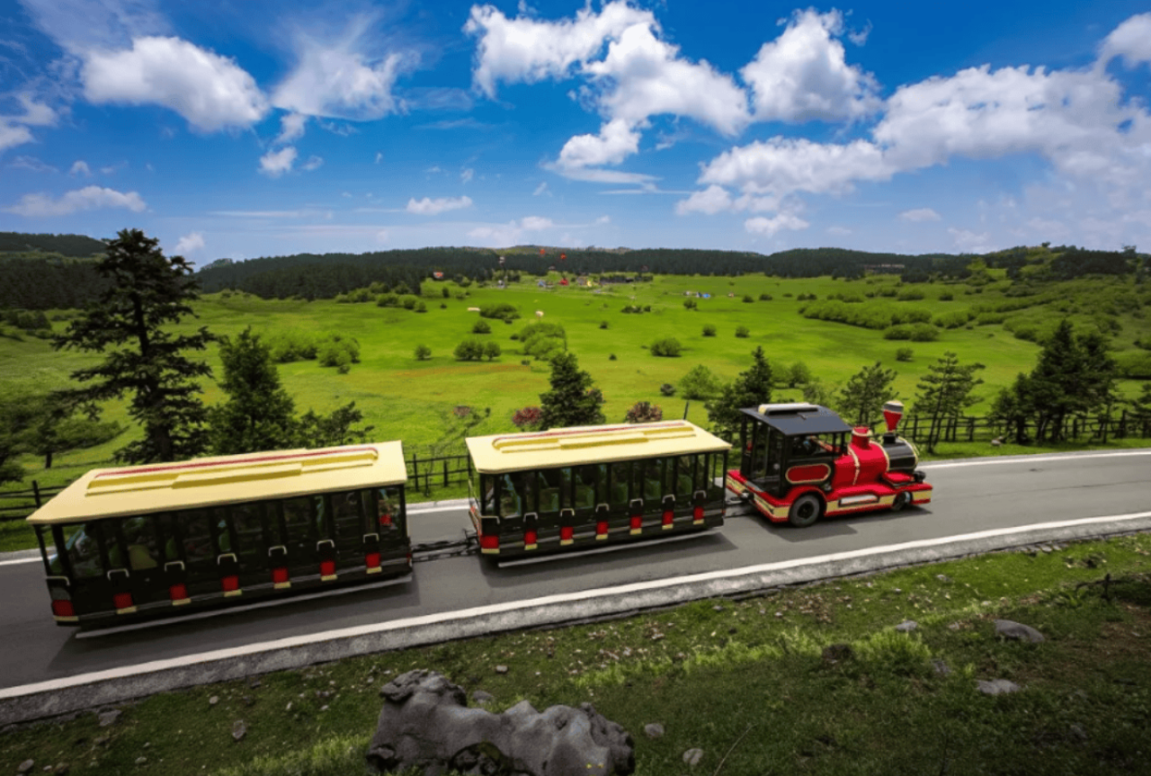 Chongqing Day Tour: Three Natural Bridges + Longshuixia Fissure Gorge + Fairy Mountain 5