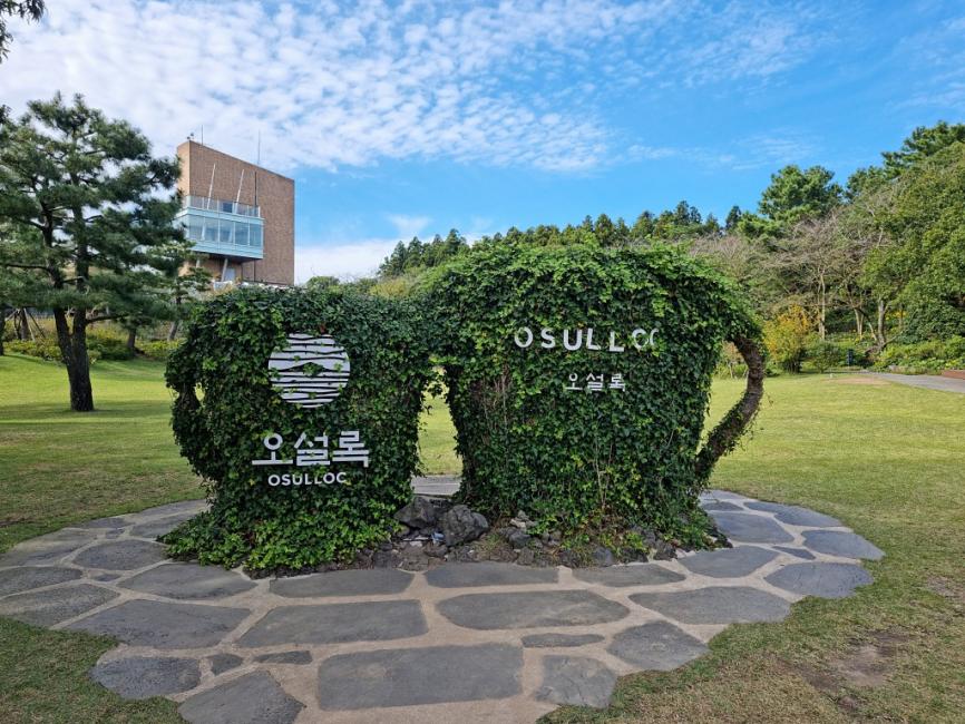 Jeju Western and Southern Sightseeing Day Tour | South Korea 2
