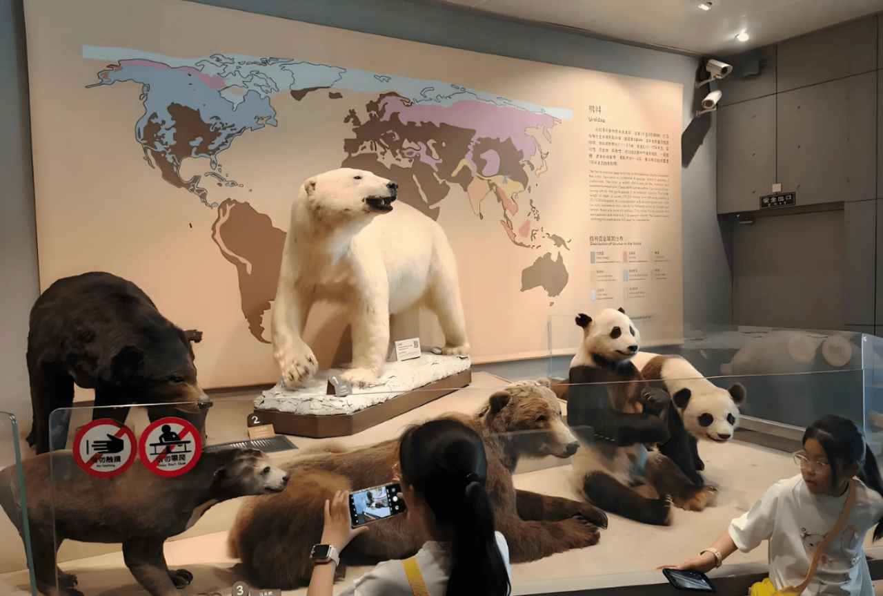 Shanghai Natural History Museum: Rare Specimens & Optional Bilingual Tours 5