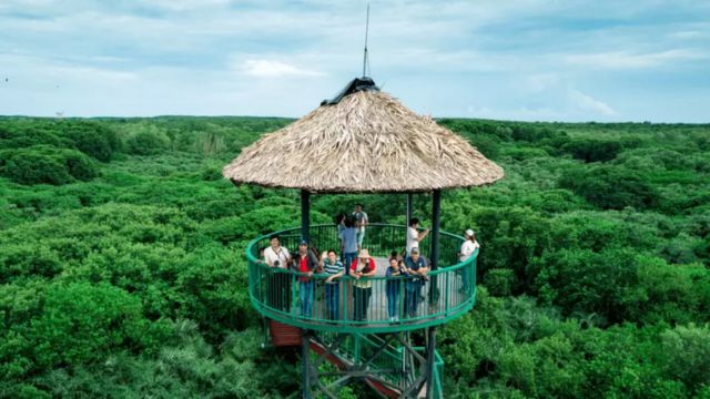 Discover Monkey Island - Crocodile Farm | Can Gio | From Ho Chi Minh