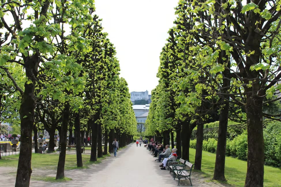 Salzburg Day Tour from Munich 3