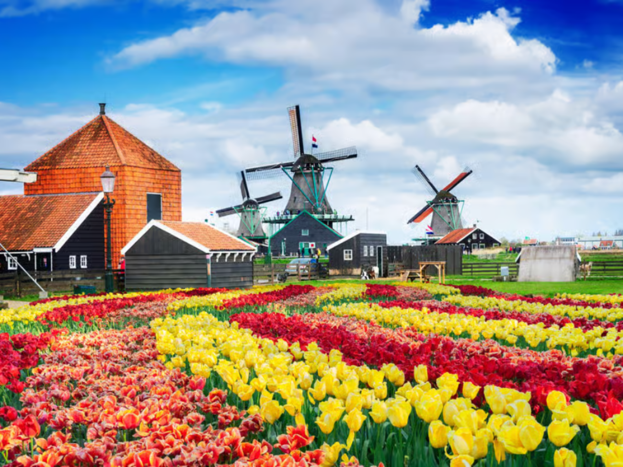 Zaanse Schans Windmills, Edam, Volendam & Marken Tour from Amsterdam 3