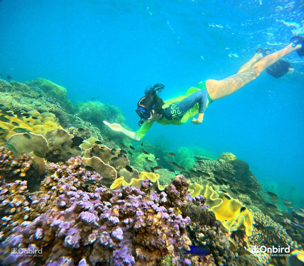Phu Quoc Luxury Snorkeling Experience: Explore Coral Reefs & Hidden Island Escape