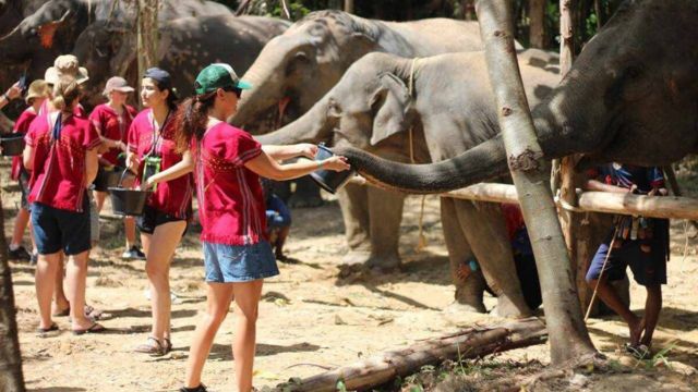 Kerchor Elephant Eco Park Half-Day & Full-Day Tour | Chiang Mai
