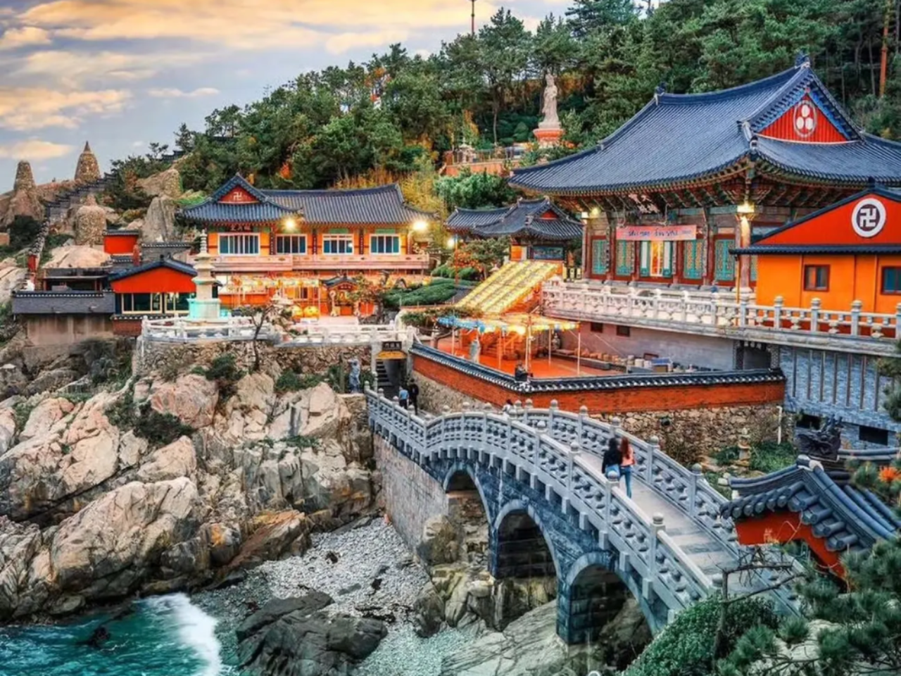 Busan Private Tour | Tailor Your Perfect Half or Full Day 4