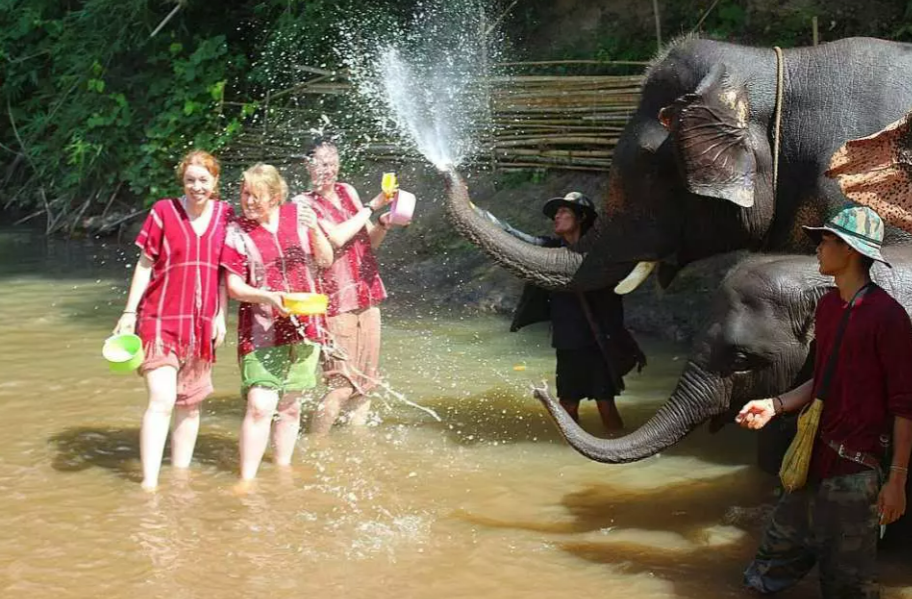 Kerchor Elephant Eco Park Half-Day & Full-Day Tour | Chiang Mai 3