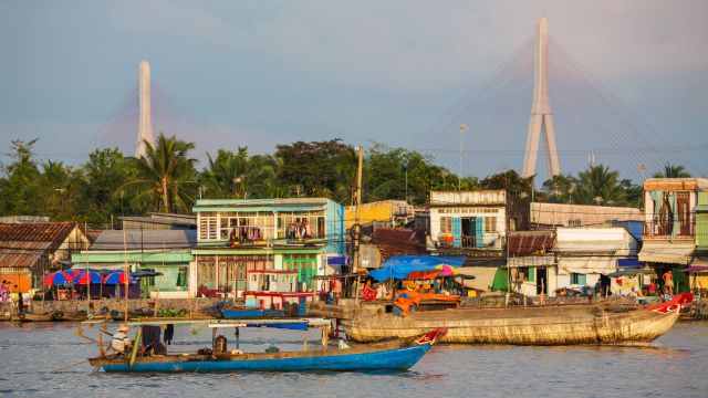 Mekong Delta Day Tour from Ho Chi Minh City with Luxury Limousine Options 4