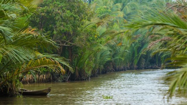 Mekong Delta Day Tour: My Tho, Vinh Trang Pagoda & Thoi Son Island from Ho Chi Minh City [English Guide | No Shopping | Hotel Pick-up | Lunch Included] 2
