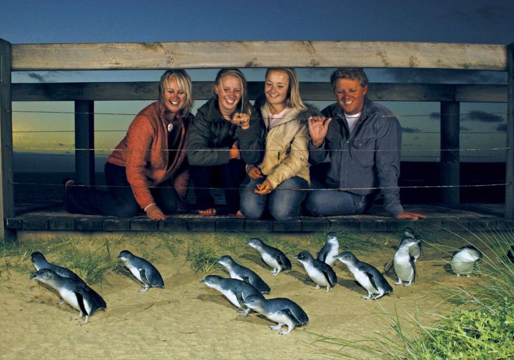 Phillip Island Wildlife Park & Penguin Parade Day Tour from Melbourne | Victoria 4