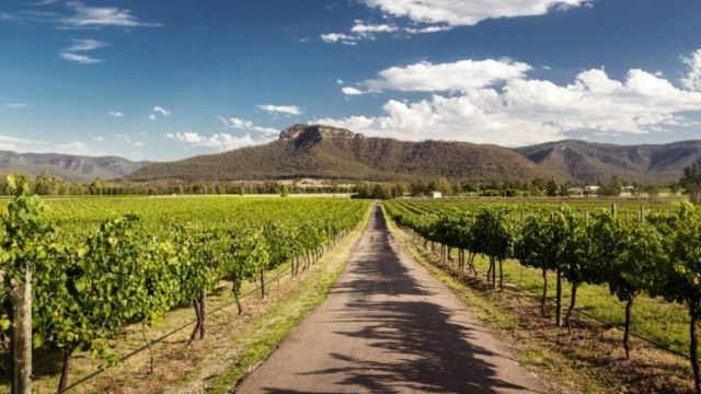 Hunter Valley Gourmet Tour with Sydney Fish Market Visit