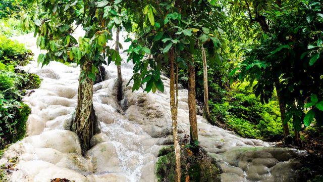 Chiang Mai Sticky Waterfall 4