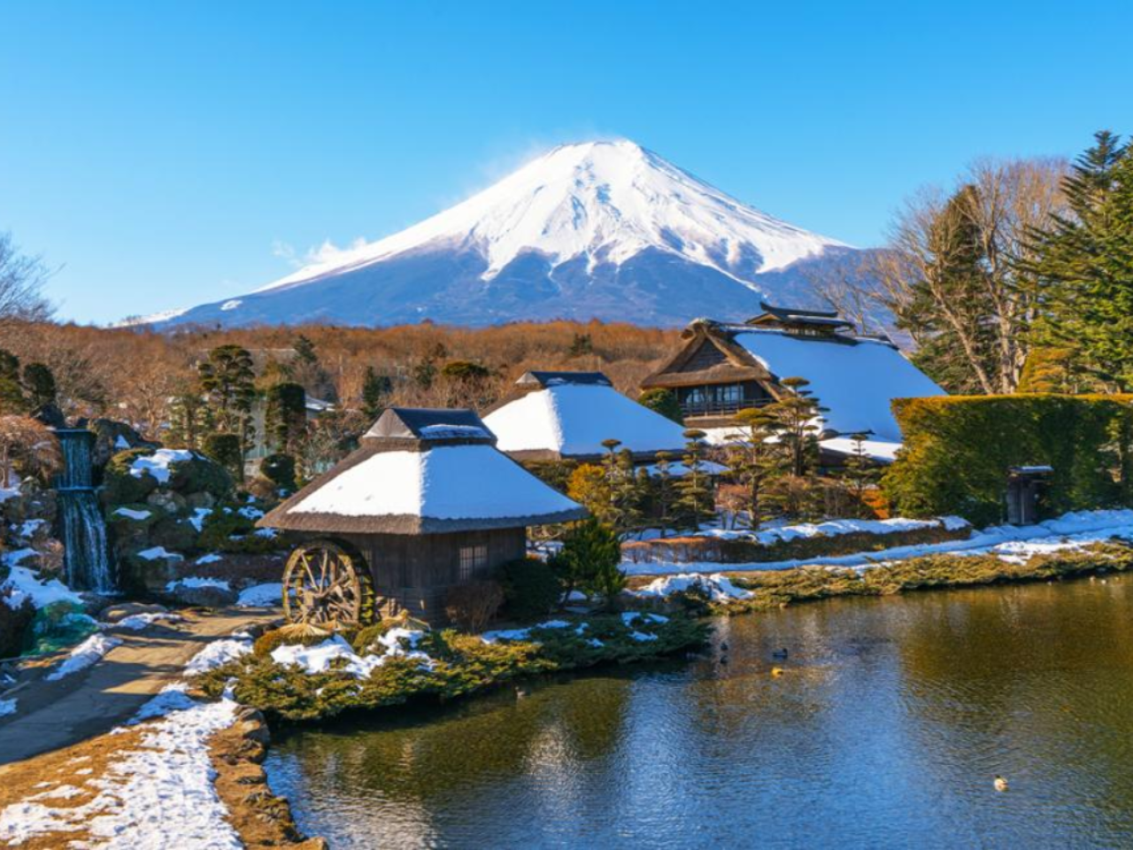 Mount Fuji One-Day Tour with Double Instagram-Worthy Spots｜Arakurayama Sengen Park, Oshino Hakkai, Kawaguchiko Oishi Park 4