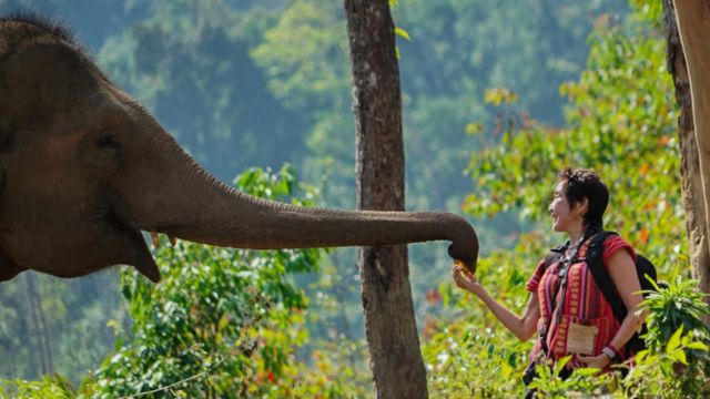 Elephant Jungle Sanctuary Experience at Grand Canyon Branch Chiang Mai | Thailand 3
