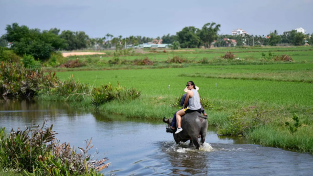 Coconut Forest Tour by Bicycle and Basket Boat in Hoi An