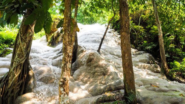 Sticky Waterfall Half-Day Adventure Tour in Chiang Mai | Thailand 5