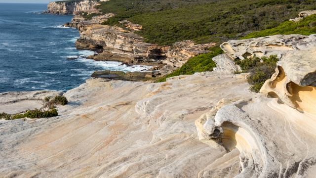 Sydney South Coast (Royal National Park / Wollongong / Kiyama) Tour 2