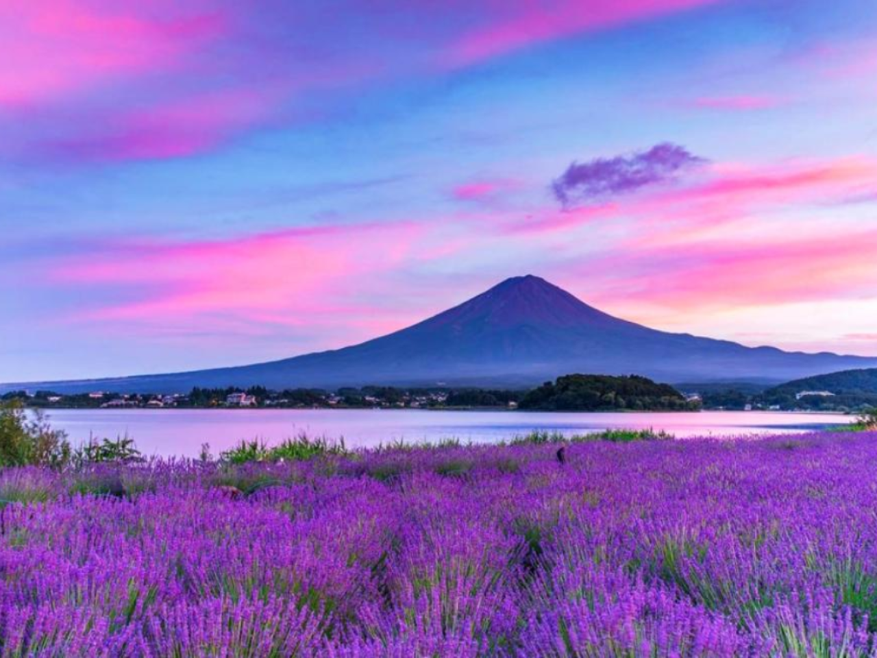 Mount Fuji One-Day Tour with Double Instagram-Worthy Spots｜Arakurayama Sengen Park, Oshino Hakkai, Kawaguchiko Oishi Park 3
