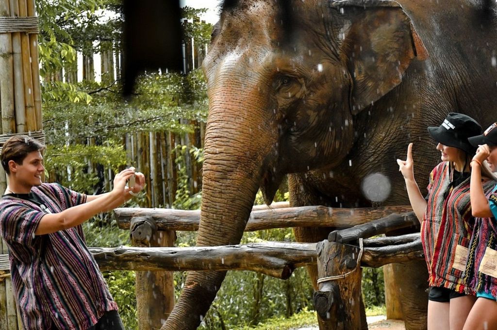 Elephant Jungle Sanctuary Phuket Experience 5