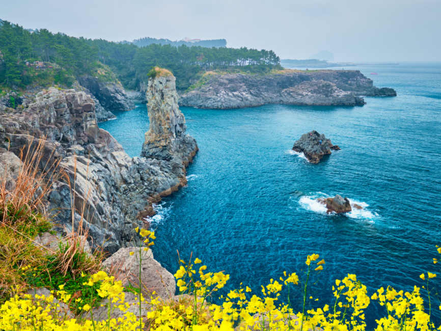 Jeju West & South One Day Authentic Tour 4