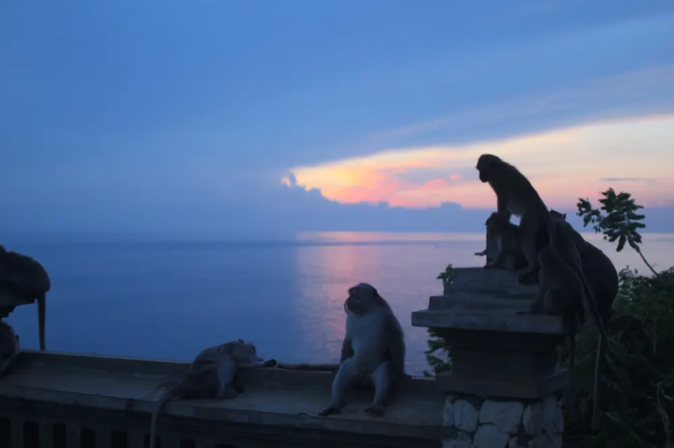 Uluwatu Temple and Kecak Uluwatu Day Tour 5