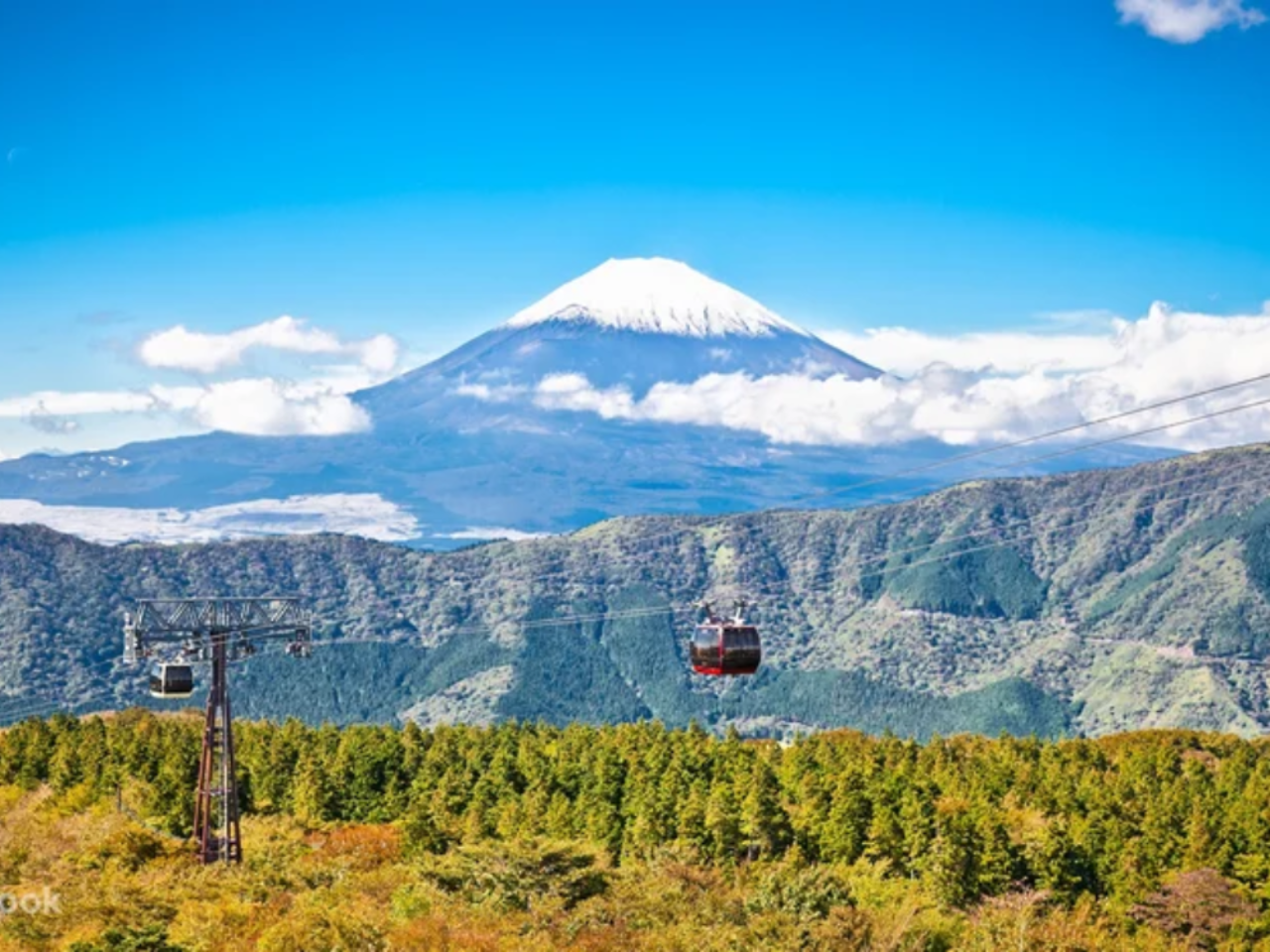 Mt.Fuji and Hakone 1 Day Bus Tour from Tokyo
