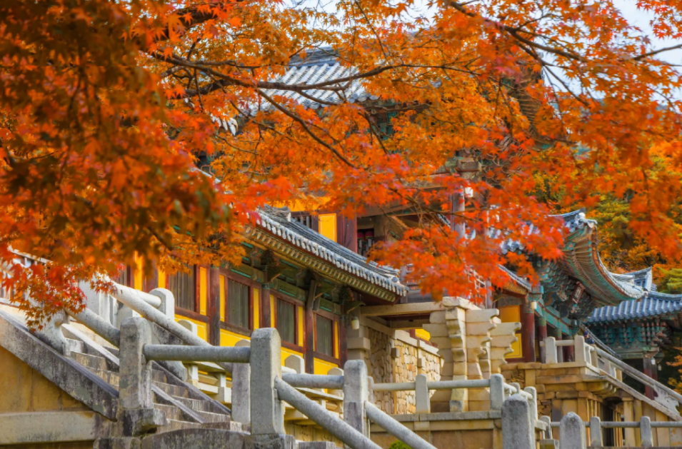 Gyeongju UNESCO World Heritage Day Tour from Busan 5