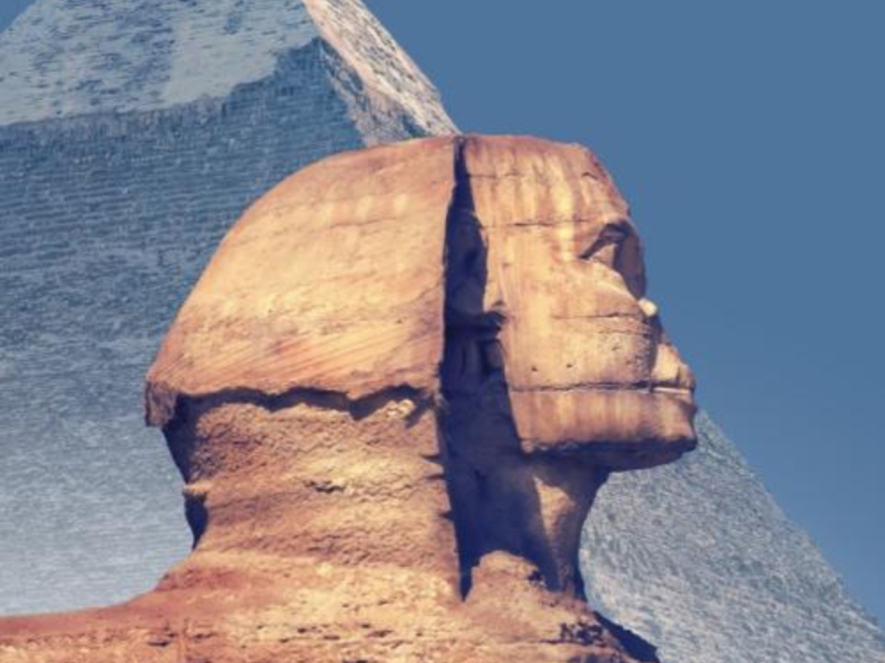 Egypt Cairo Airport CAI to and from Cairo City｜Airport transfer car 5