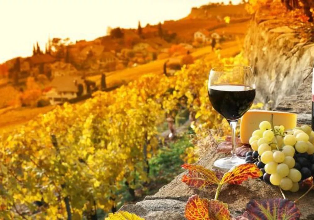 Chianti Half day Wine tour from Florence | Italy