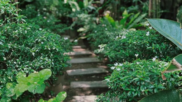 Vietnamese Culinary Adventure on an Organic Farm 5