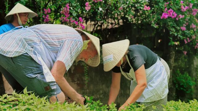 Vietnamese Culinary Adventure on an Organic Farm