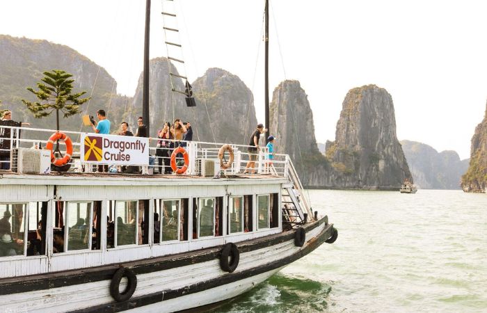 Dragonfly Day Cruise | Ha Long Bay Sightseeing with Thien Cung Cave & Kayaking | Vietnam