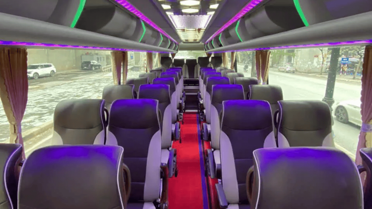 Hercules Premium Day Cruise: Ha Long Bay with Sung Sot & Ti Top