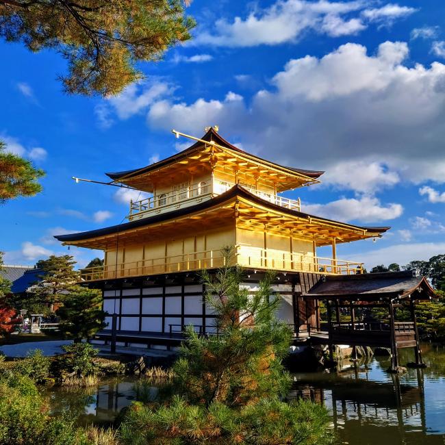 PERFECT 1-Day KYOTO Guided Bus Tour with Kiyomizudera, Fushimi Inari, Kinkakuji, Bamboo Forest, Sanjyusangendo, Tenryuji, Buffet Lunch 4