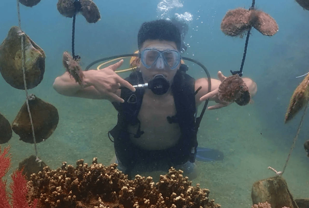 探索芽庄海底世界水族馆的珍珠奥秘