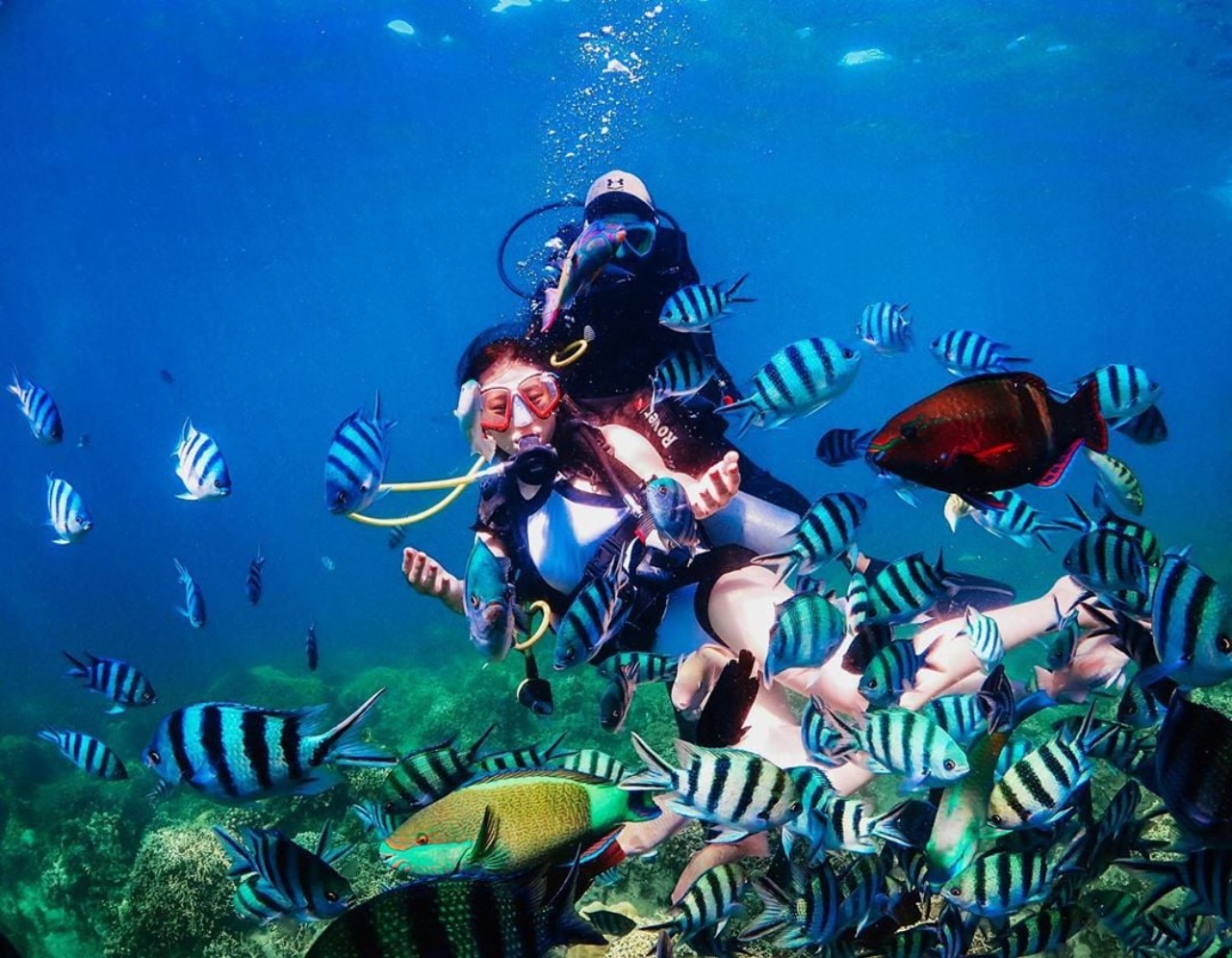 Day Tour | Scuba Diving in Nha Trang 3