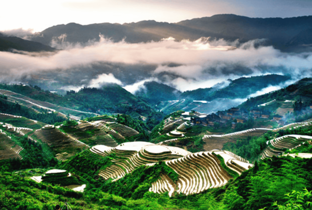 Longji Rice Terraces 5