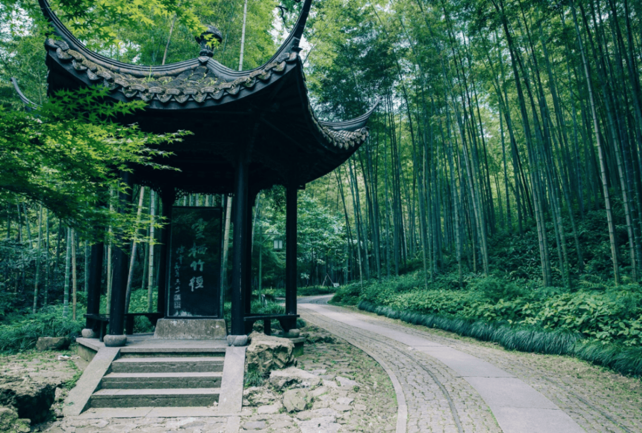 A Bamboo-Lined Path Yunqi 2