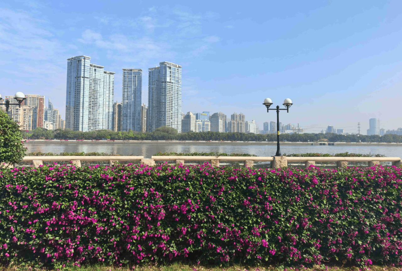 Haizhu Tram Line 1 4