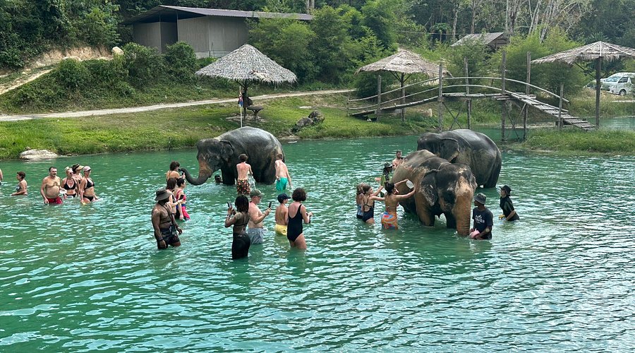 Lily Elephant Care Camp | Phuket