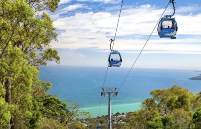 Mornington Hot Springs & Arthur's Seat Cable Car Day Tour | Melbourne 5
