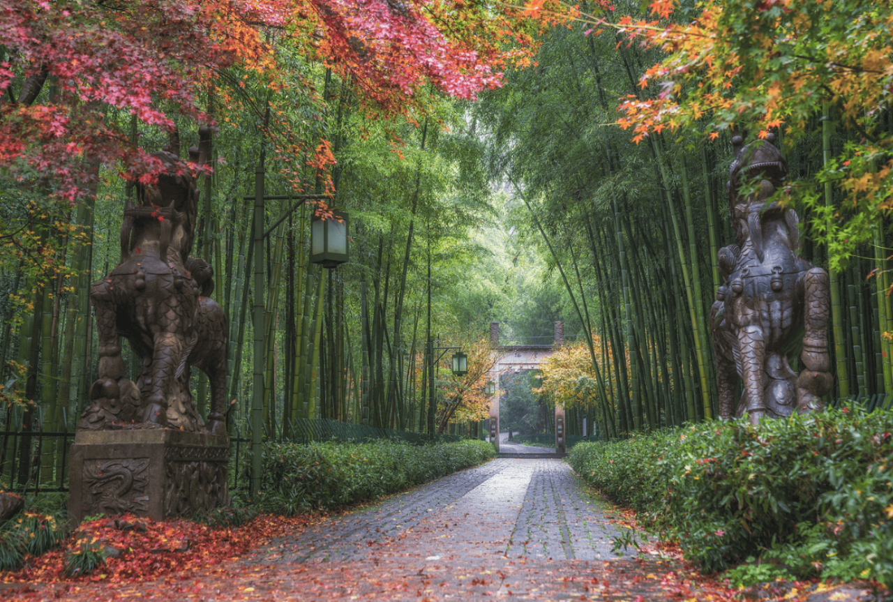 A Bamboo-Lined Path Yunqi