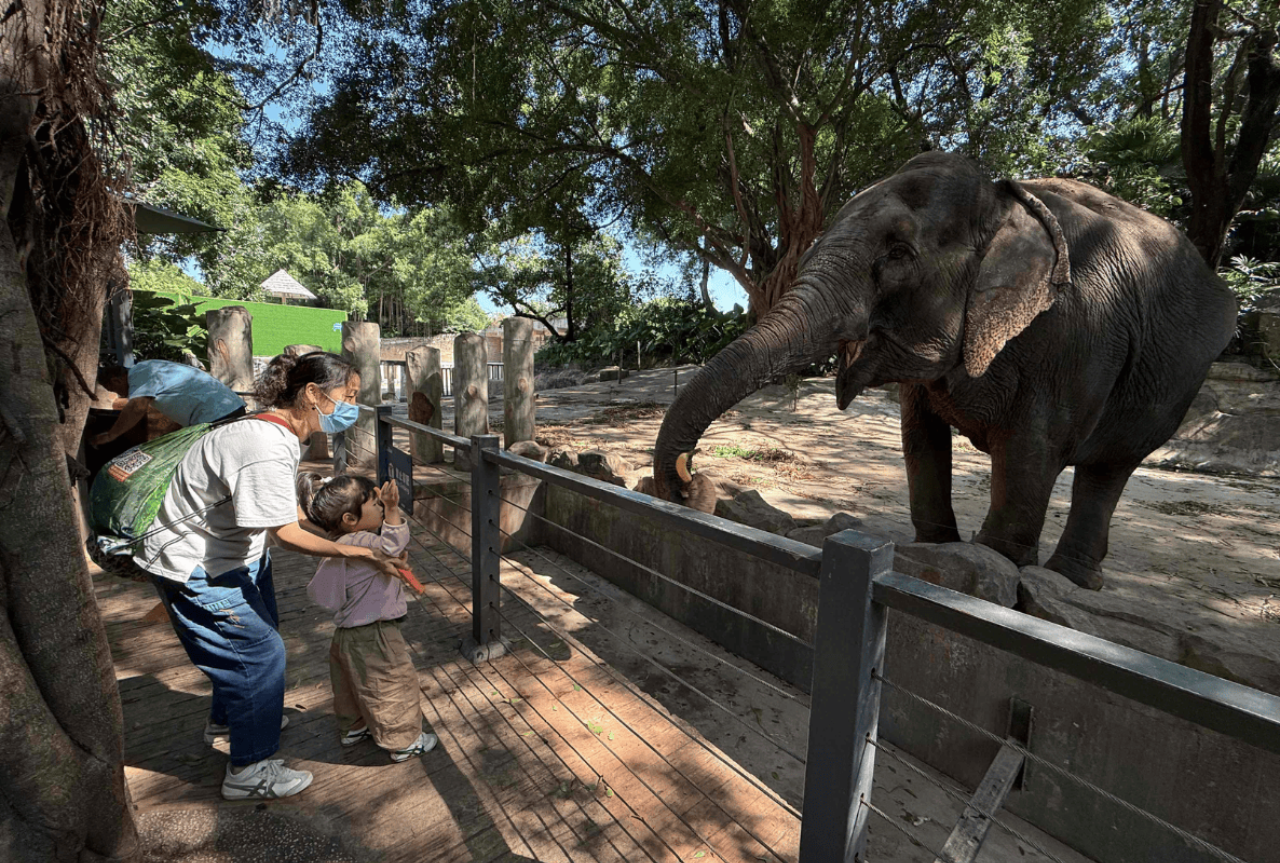 Safari Park Shenzhen 5
