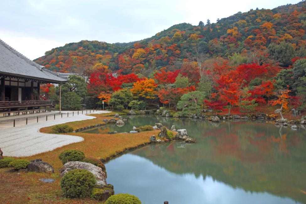 PERFECT 1-Day KYOTO Guided Bus Tour with Kiyomizudera, Fushimi Inari, Kinkakuji, Bamboo Forest, Sanjyusangendo, Tenryuji, Buffet Lunch 3