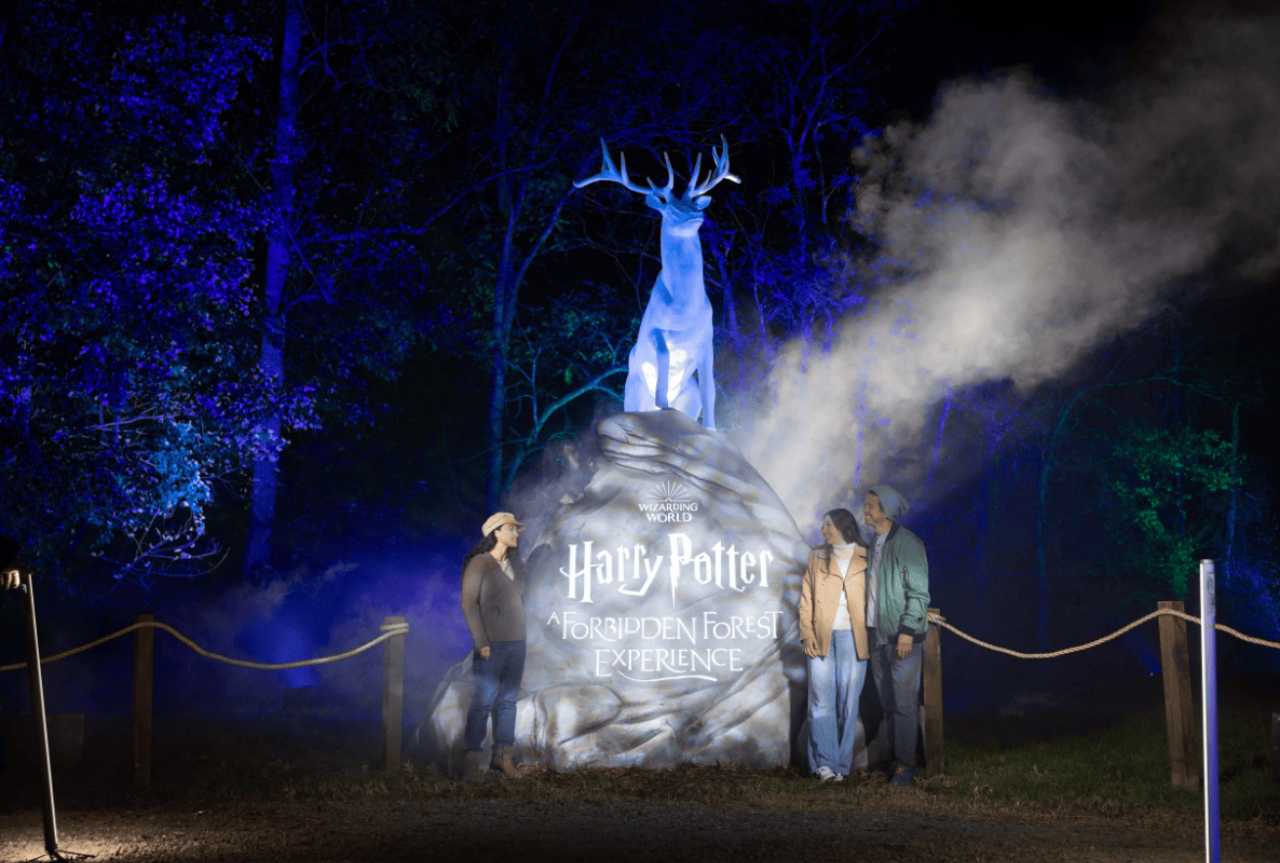 Harry Potter: A Forbidden Forest Experience