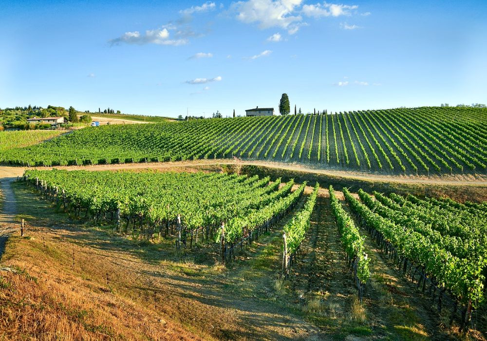 Sunset Siena and Chianti Wine Tour with Dinner from Florence